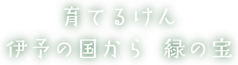 育てるけん 伊予の国から 緑の宝